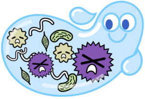 三鷹の歯医者、川島歯科医院で、舌ブラシは毎日必要？舌の磨きすぎによるリスクや適した頻度を解説